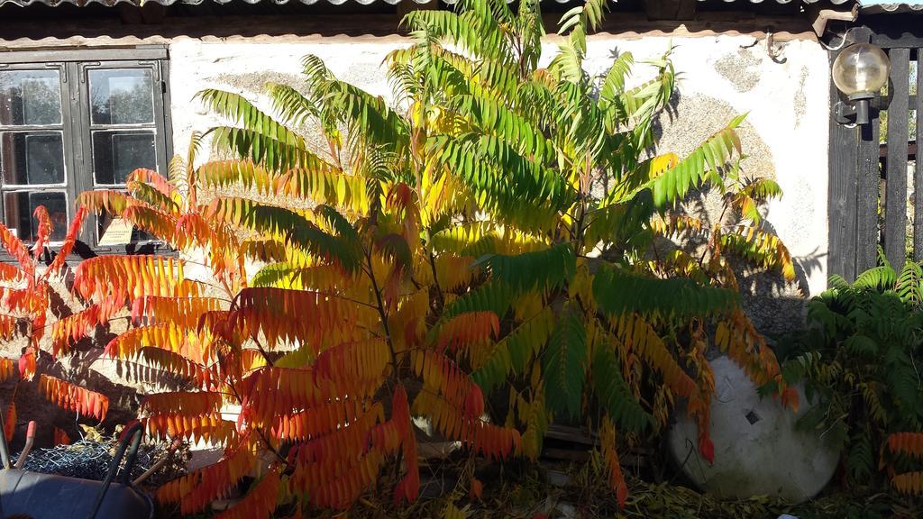Rusthallaregarden I Edenryd Bromölla 外观 照片